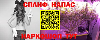 spice Троицк