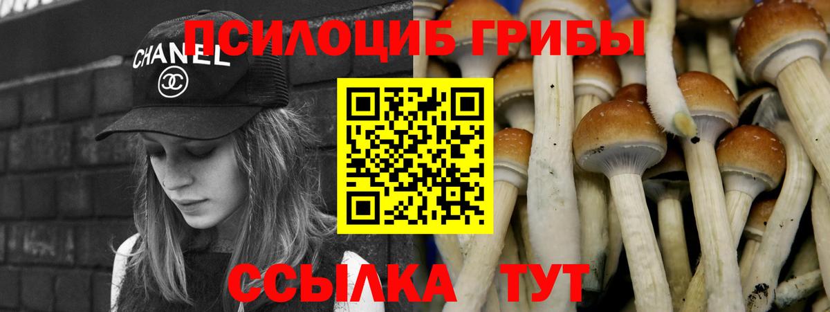 Псилоцибиновые грибы прущие грибы Балахна